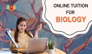 Online Biology Tuition – Class 12 Students, Build Strong Concepts with Expert Guidance