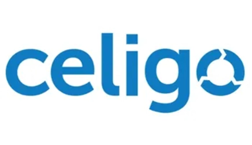 CELIGO Online Training Real-time support from India