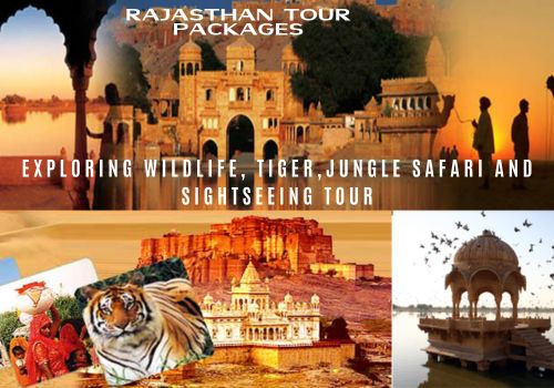 Wildlife and Jungle Safari in Rajasthan - Rajasthan Tiger Tour Packages